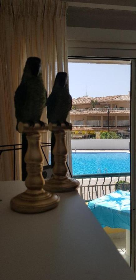 Playa Las Vistas Loft 洛斯克里斯蒂亚诺斯 外观 照片